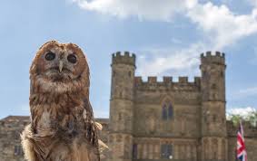 Tracing the Eldridge Family Tree