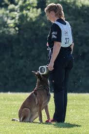 Informiere dich über neue malinois welpen kaufen. Malinois Vom Buxtehuder Bullen Uber Mich