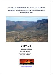 Image result for Plinthus cryptocarpus