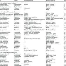 Image result for Schizozygia coffaeoides
