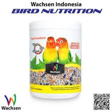 1024 x 1024 jpeg 709 кб. Gold Coin Lovebird Pakan Burung Lovebird Shopee Indonesia