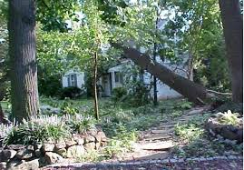 A Very Affable Couple:' Deacon's Last Visit before Tragedy