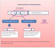 Come Leggere I Test Ovulazione Persona