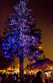 Driving tour of neighborhood christmas lights in willow glen, san jose, california.stay tuned for more bay area lights! A Listing Of Holiday Activities In And Around The South Bay The Mercury News