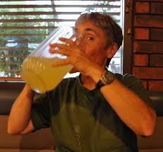 About RoadsideArchitecture.com