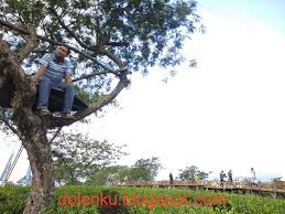 Address, phone number, kebun teh wonosari reviews: Harga Tiket Masuk Dan Lokasi Kebun Teh Wonosari Lawang Malang Dolenku