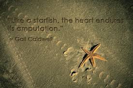 Starfish (or sea stars) are beautiful marine animals found in a variety of colors, shapes, and sizes. Starfish Quotes Quotesgram