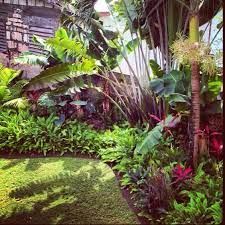 Tropical Garden Great For Along Back Fence Tropical Landscaping Tropical Backyard Tropical Garden