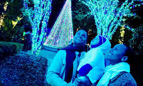 Garden Lights Holiday Nights Photo By Joey Ivansco Holiday Lights Atlanta Botanical Garden Holiday Nights