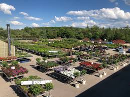 Beautiful and unique fresh floral arrangements for any occasion. Demers Garden Center Manchester New Hampshire Garden Center Facebook