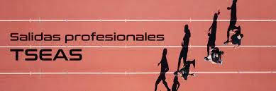 Pin De Antonio Faba Moreno En Tseas En 2020 Actividades De Recreacion Orientacion Universitaria Puestos De Trabajo