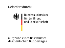 Magnesium Was Ist Zu Beachten Verbraucherzentrale De
