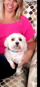 Introduction to Bichon Breeds and Their Varieties