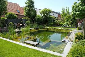 Hugedomains Com Swimming Pond Natural Swimming Pools Waterfalls Backyard
