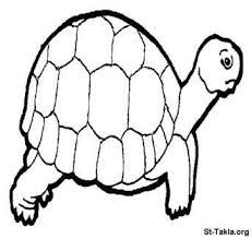صفحة تلوين سلحفاة جميلة turtle coloring pages animal coloring pages cartoon clip art