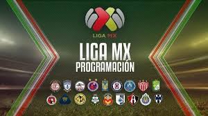 La tabla de posiciones de liga mx para la 2020/2021, actualizada al instante al final de cada partido. Ø­ØµØ§Ù† Ø¨Ø¶Ø§Ø¦Ø¹ Ù…ØªÙ†ÙˆØ¹Ø© Ù…Ø­Ø¨ÙˆØ¨ Ø§Ù„Ø¬Ù…Ø§Ù‡ÙŠØ± Pumas Unam Tabla De Posiciones Kulturazitiste Org