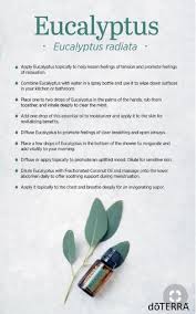 Pin On Essential Oils