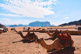 The tents are basic with comfortable cots, warm meals are characteristic bedouin cuisine and are prepared using local methods. 7 Day Jordan Itinerary How To Spend 1 Epic Week In Jordan