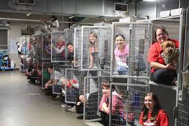 You can find all pet adoptions online, so it's super easy! The Kansas City Missouri Animal Shelter Is Celebrating Empty Kennels Thanks To A Record Setting Weekend Imgur