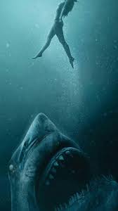 Pin By Papa Jay Iwi On Sea Creatures Drawing Shark Pictures Scary Ocean Scary Sea Creatures If i were a lion and you were a tuna, i would swim out in the middle of the ocean and freaking eat you and then i'd bang your tuna girlfriend. scary ocean scary sea creatures