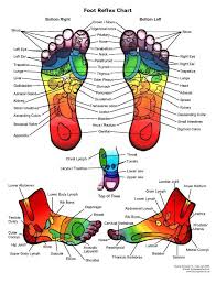 Kinesiology Reflexology Chart Foot Reflexology