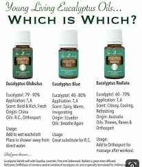 Young living eucalyptus globulus essential oils, 2ml, 5ml, or 15 ml. Young Living Jb The Best For Respiratory Support Facebook