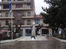 Image result for Grevea