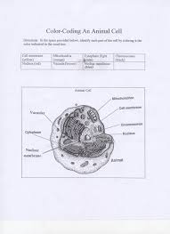 We did not find results for: Pin On Science Life Animals Plants