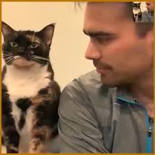 Just looking for some affection., Join our group: Cats