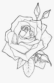 Drawing Line Art Coloring Book Transparent Roses Outline Hd Png Download Transparent Png Image Pngitem An outline drawing is usually a mere symbol of what it is supposed to represent. transparent roses outline hd png
