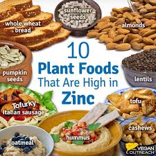 Zinc Rich Foods Zinc Foods Plant Based Nutrition Zinc Rich Foods