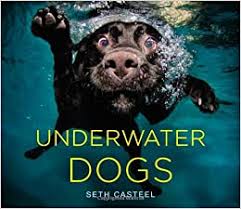 I imagine it comes with little nugs already stuck between the pages, like all the books and magazines that have spent any amount of time at my apartment. Similar Books Like Underwater Dogs By Seth Casteel