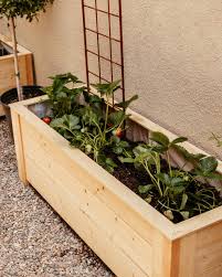 *this video is outdated because we have tote liners (the green scissor brand) that actually fit the totes comfortably, unlike the ones you see here. The Perfect Guide To Sustainable Gardening Anita Yokota Sustainable Garden Vertical Container Gardening Garden Boxes Diy