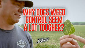 Boost Crop Yields: Matt's Secret to Disease-Free Farming