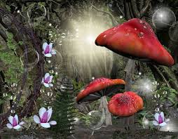 سحر الفطر صور خلفية متحركة Enchanted Forest Magic Forest Stuffed Mushrooms