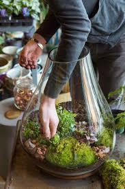 Creer Un Terrarium Plante 20 Idees Pour Reussir L Art Vegetal En Miniature Mini Jardins Jardinage Urbain Art Vegetal