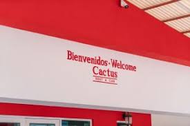 Car rental 7 & 9 seat minivan rentals mexico cabo san lucas. Cactus Rent A Car Cabo San Lucas Los Cabos Guide