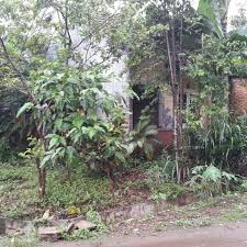 🏘️ taukah kamu, di bogor banyak sekali tempat tempat yg terkenal dengan keindahannya. Tanah Kavling Bumi Pertiwi Cilebut Properti Dijual Di Carousell