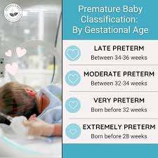 Image result for Preterm Infant