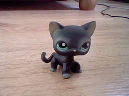 Subscribe to receive our lps update email newsletter. Lps Black Short Hair Cat Lps Cats Bear Coloring Pages Cats