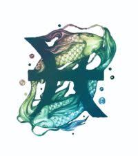 This is a water sign, which is … Which Rashi Can Wear Diamond Diamond For Rashi Fabulously