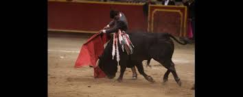 El torero de 16 años, el de Castilla