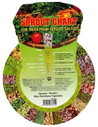 Sproutman S Sprout Chart