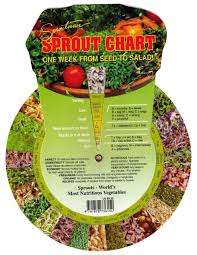 sproutman s sprout chart