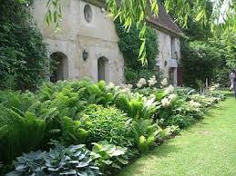 On Verra Au Jardin Plantes D Ombre Farne Garten Garten Pflanzen Garten
