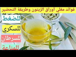 فوائد مغلي أوراق الزيتون لعلاج مرض السكري وارتفاع الضغط والسرطان د موسى youtube