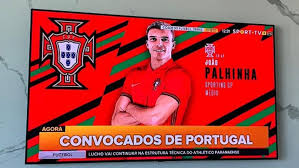 João palhinha date of birth : Palhinha E A Chamada A Selecao Representar O Meu Pais Ainda Me Ira Dar Mais Forca E Motivacao Sporting Jornal Record