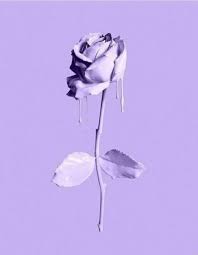 55 Ideas Plants Aesthetic Wallpaper Drawing Light Purple Wallpaper Blue Roses Wallpaper Purple Wallpaper Iphone