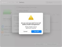 About Battery Health Management In Mac Notebooks - Apple Support