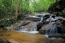 Berikut tempatwisataseru rangkum daftar curug di yogyakarta yang bisa anda jadikan tempat liburan. Mahadi De Nerus Solo Hiking Air Terjun Batu Asah Kemensah